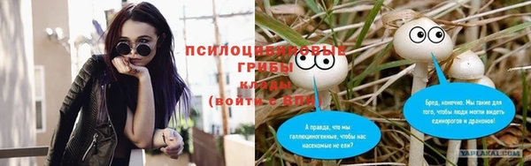 герыч Переславль-Залесский