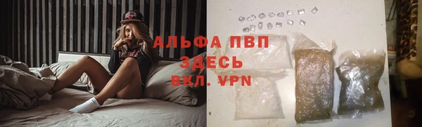 индика Абаза