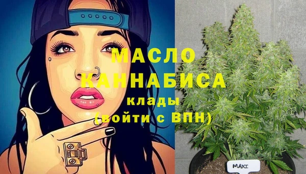 индика Абаза