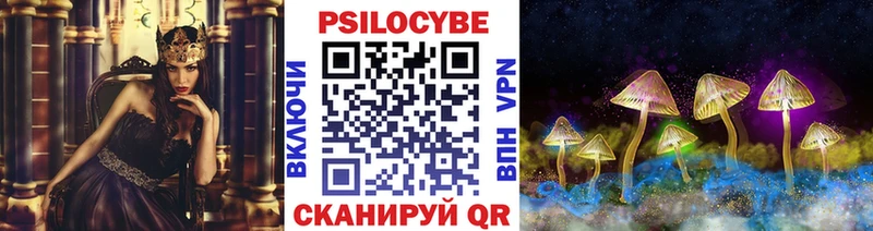 Псилоцибиновые грибы Cubensis Богородск