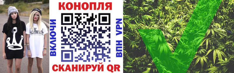 Каннабис план  продажа наркотиков  Богородск 